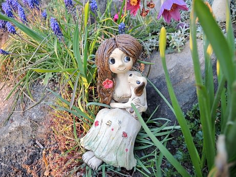 víla dívka panenka pes pejsek mazlíčci květina